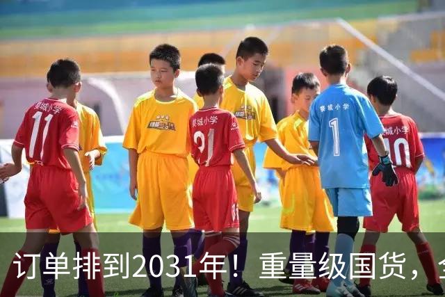 订单排到2031年！重量级国货，全球爆单